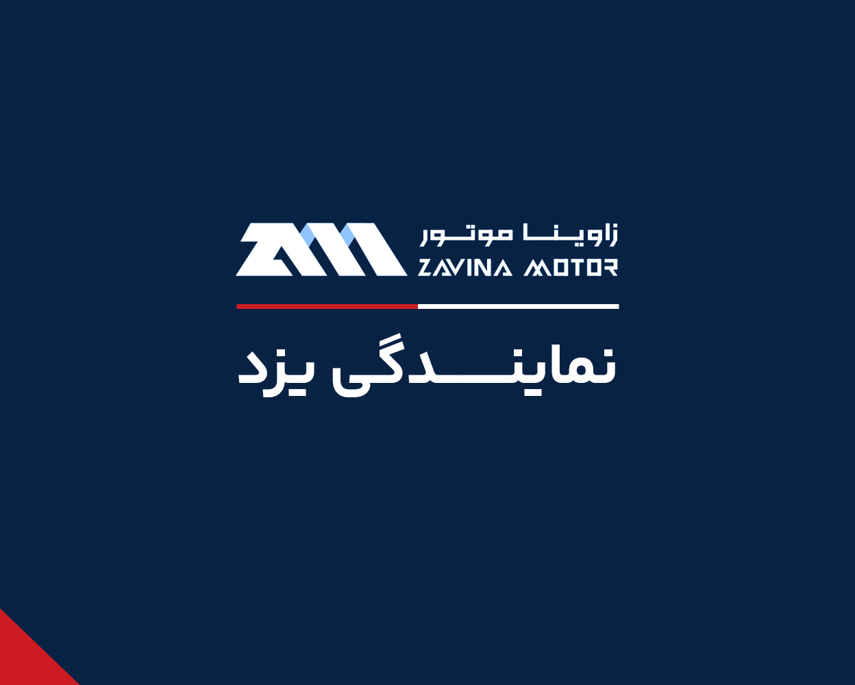 نمایندگی محمد مهدی رادخواه